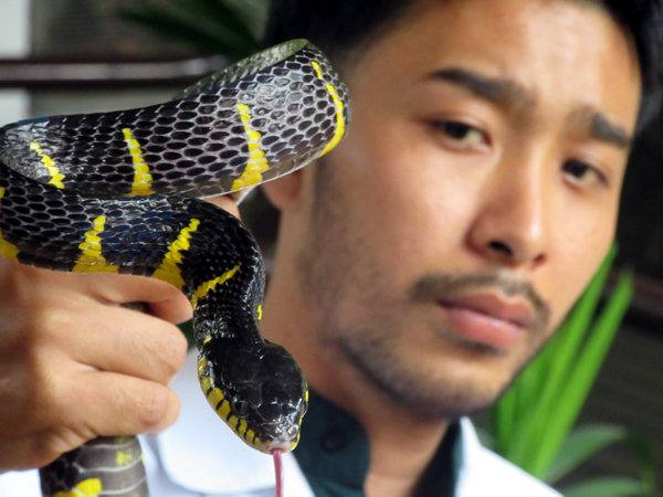 snakes.bangkok2