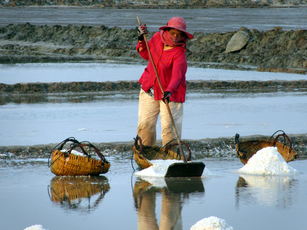 Kampot - les travailleurs du sel
