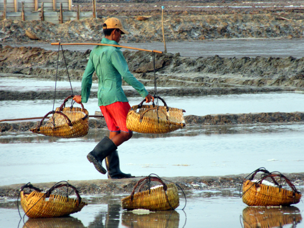 Kampot - les travailleurs du sel