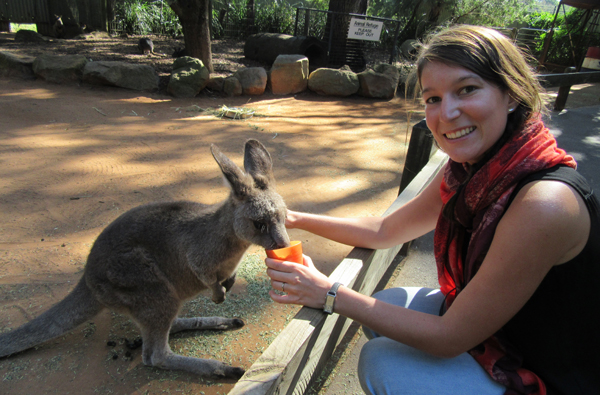 On a nourri des kangourous affamÃ©s (Ã  gauche)